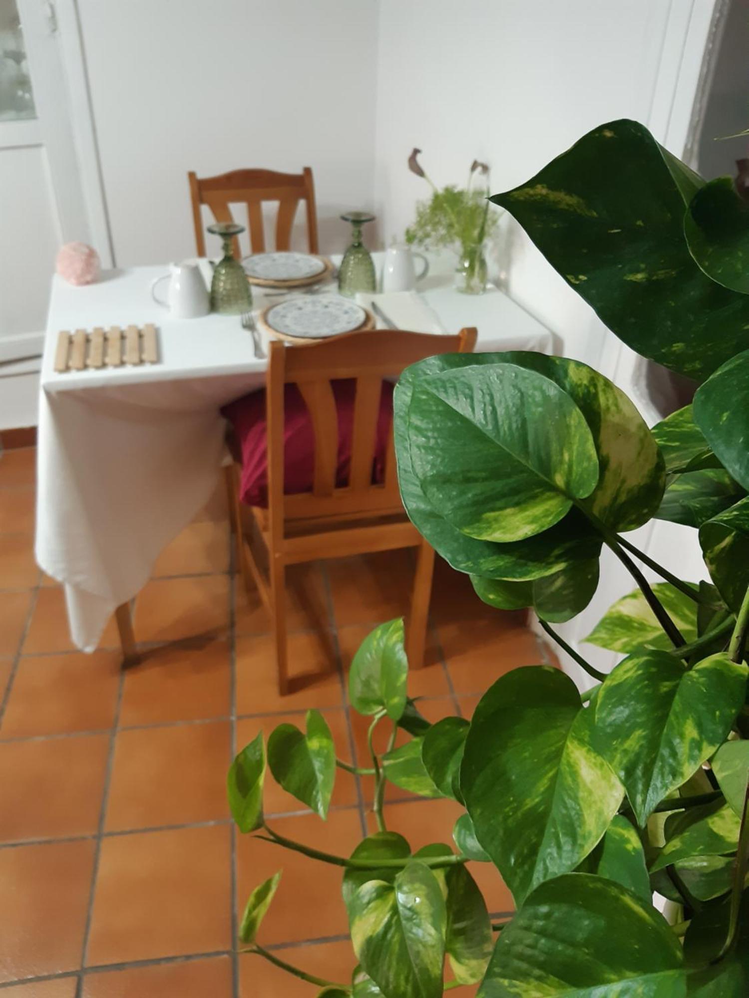 Musas Gastro Casa Rural Leilighet Valdealgorfa Eksteriør bilde